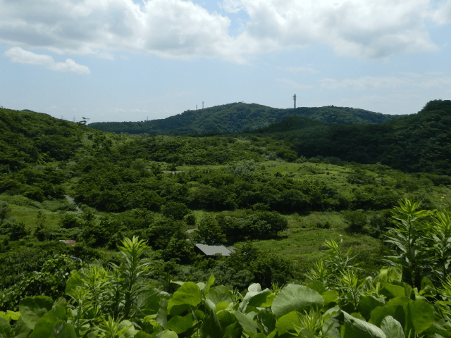 土地本来の森を再生！湘南国際村めぐりの森 Part1